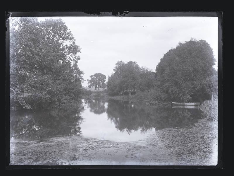 Unidentified woodland scene next to a river, c.1900