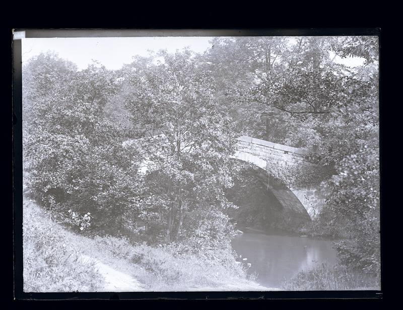 Stone bridge over a river, concealed by woodland, c.1900